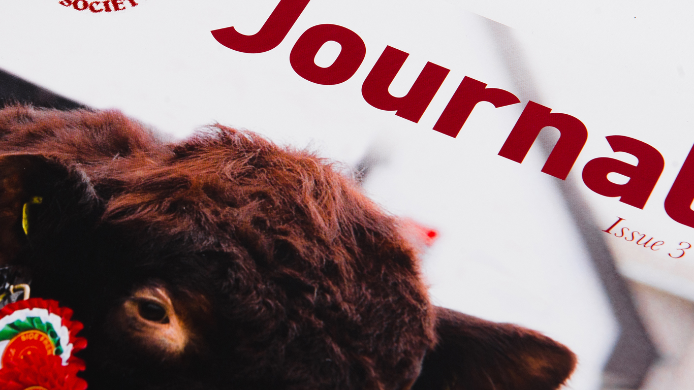 Lincolnshire Red Newsletter Design