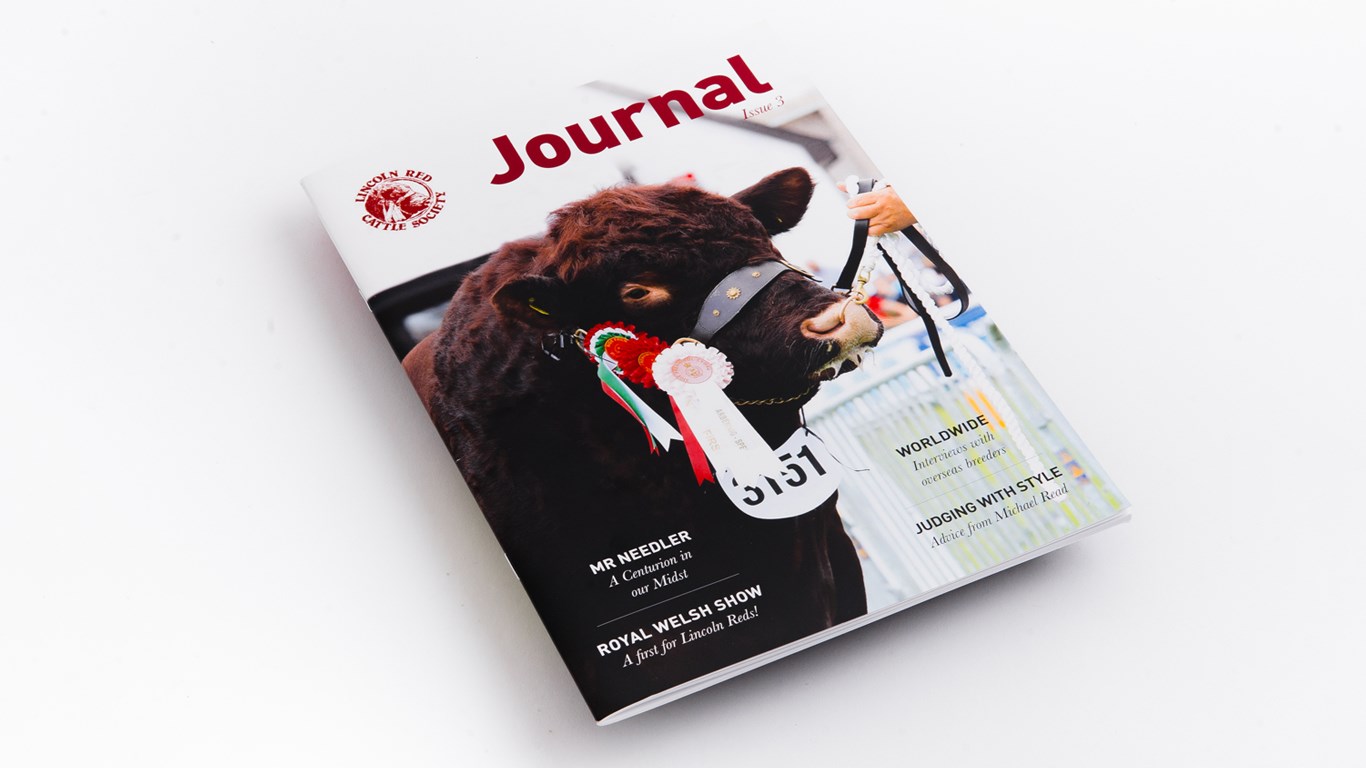 Lincolnshire Red Newsletter Design