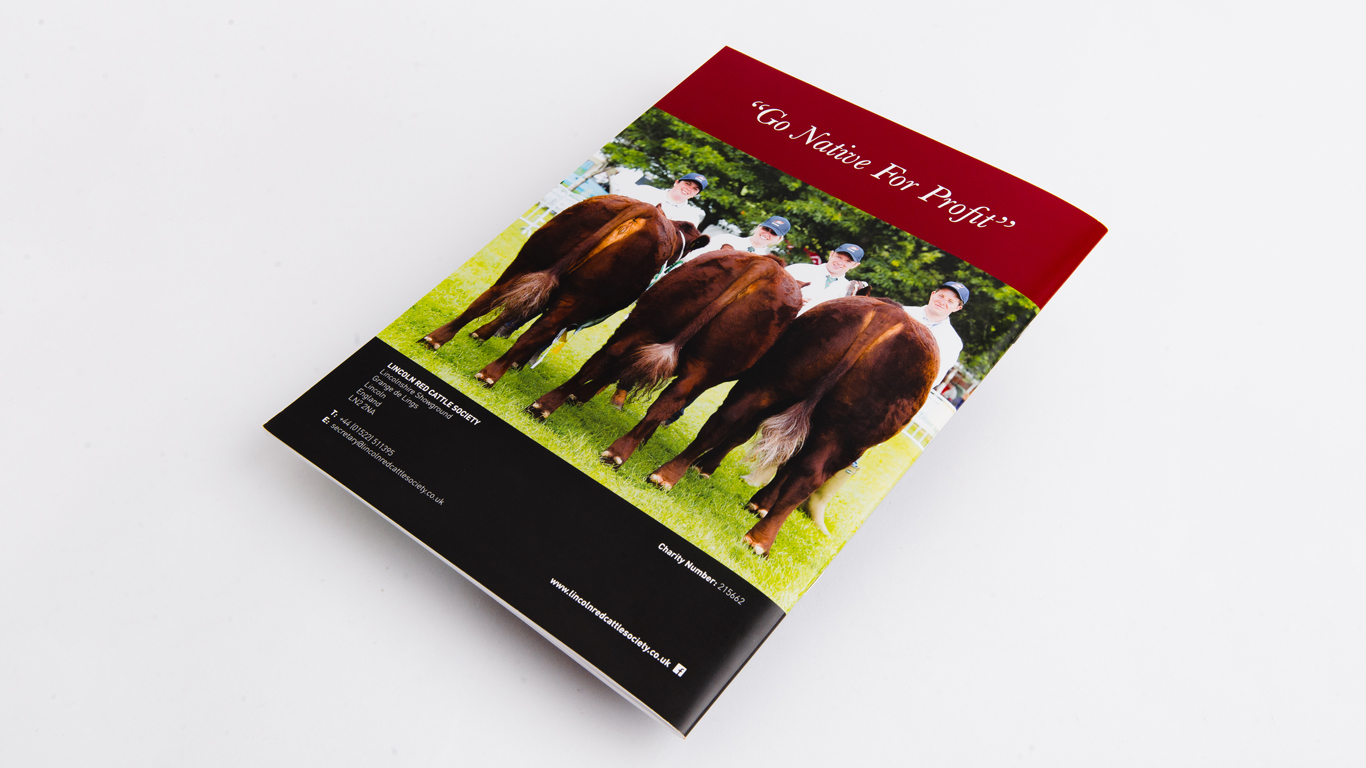 Lincolnshire Red Newsletter Design