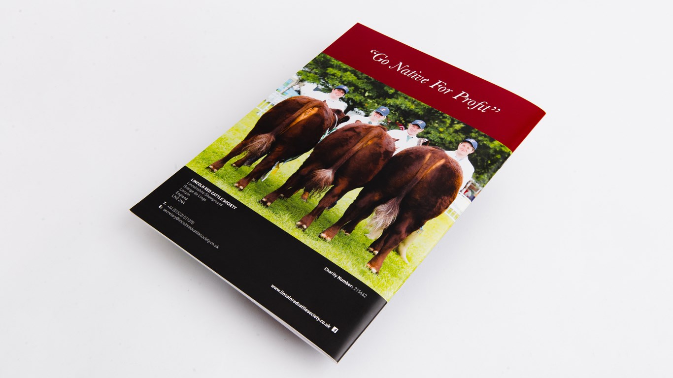 Lincolnshire Red Newsletter Design