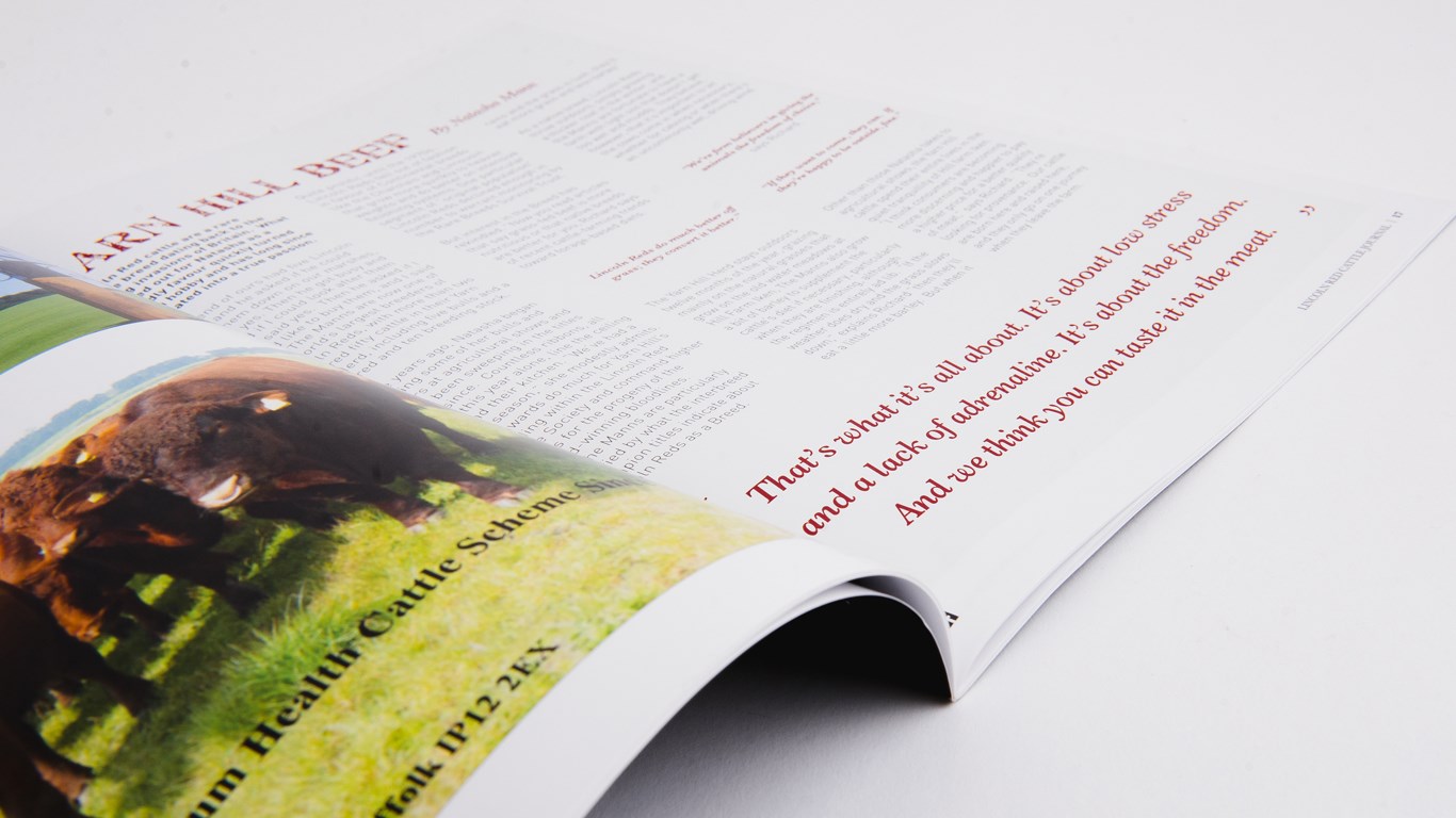 Lincolnshire Red Newsletter Design