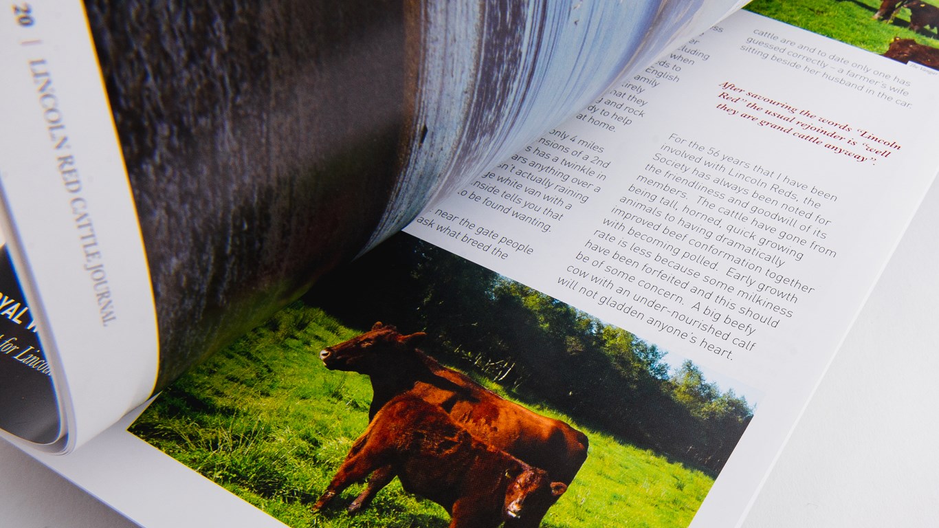 Lincolnshire Red Newsletter Design