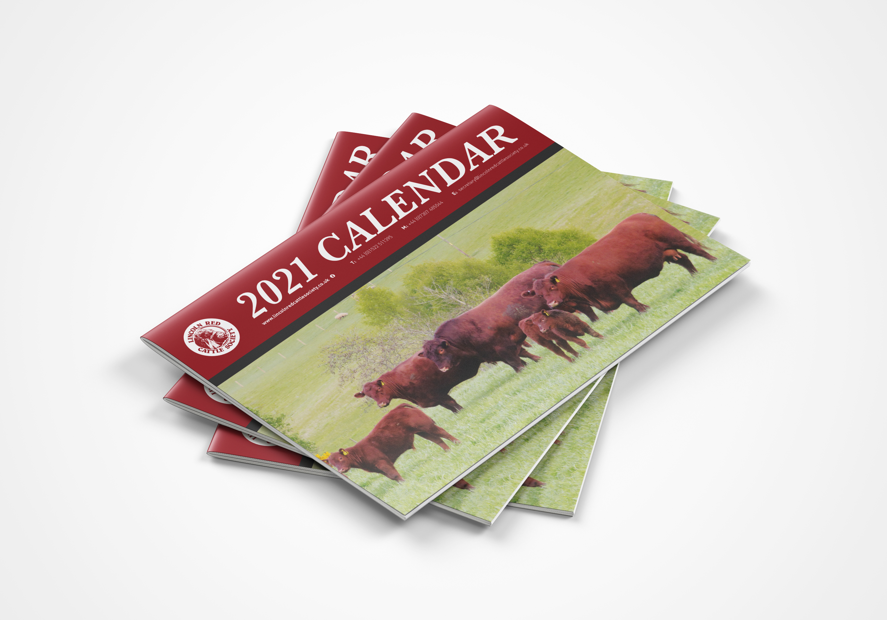 The Lincoln Red Cattle Society Calendar