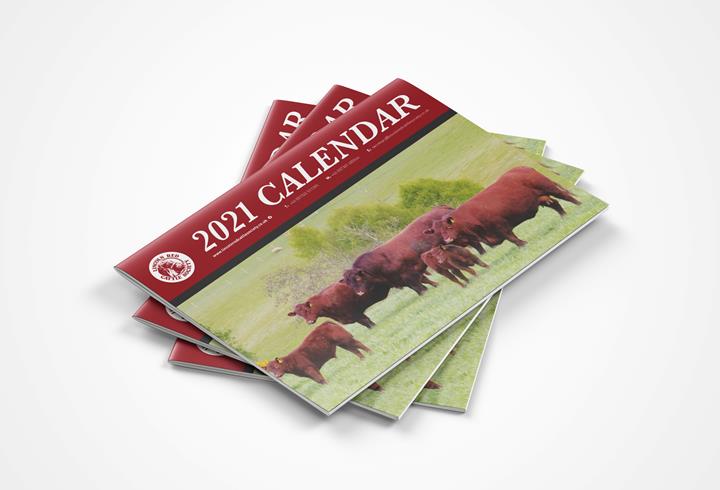 The Lincoln Red Cattle Society Calendar