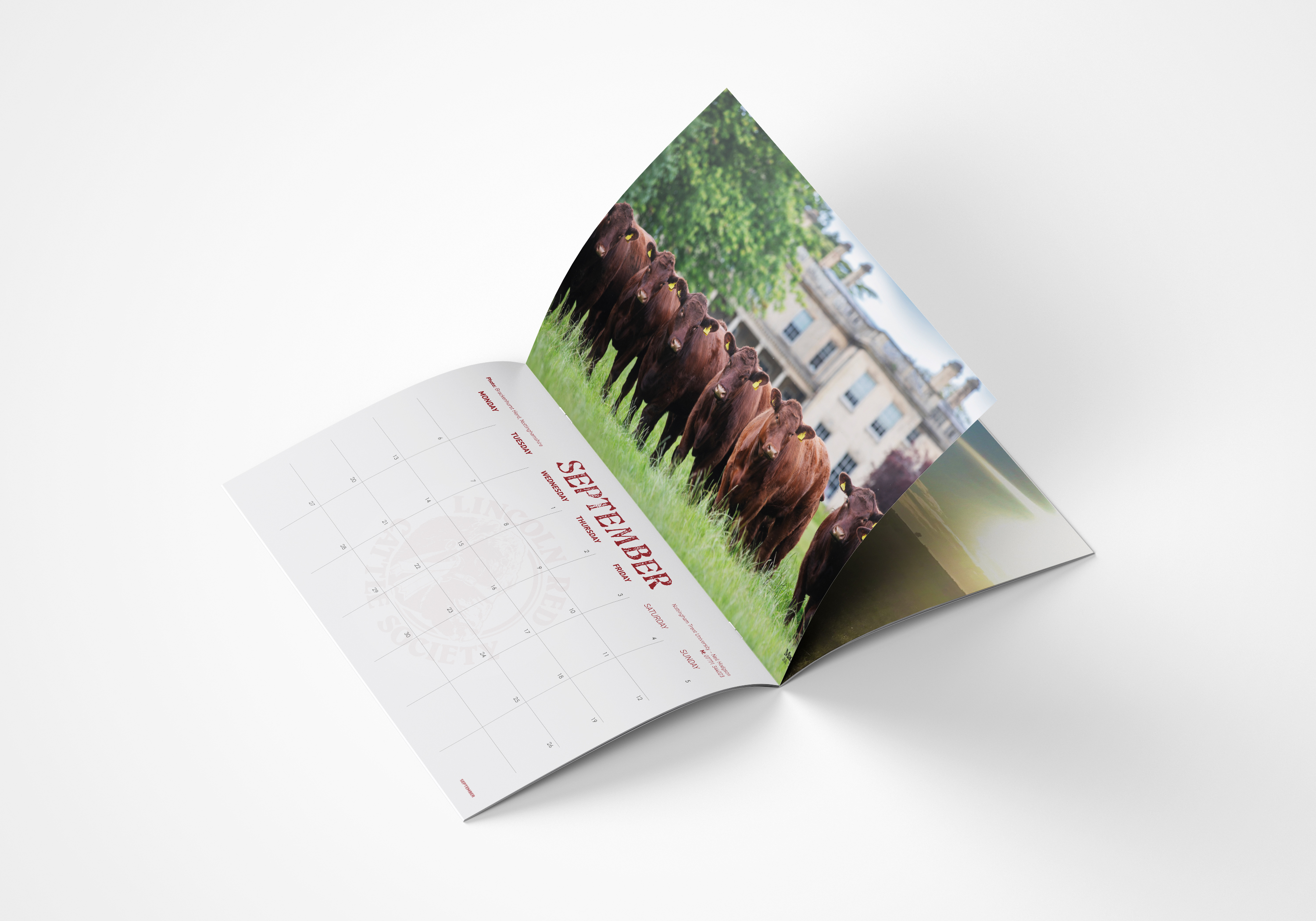 The Lincoln Red Cattle Society Calendar